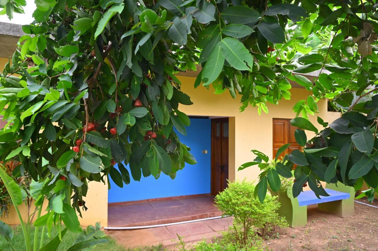 Les Boganveillea Heritage Guest House Auroville Ngoại thất bức ảnh